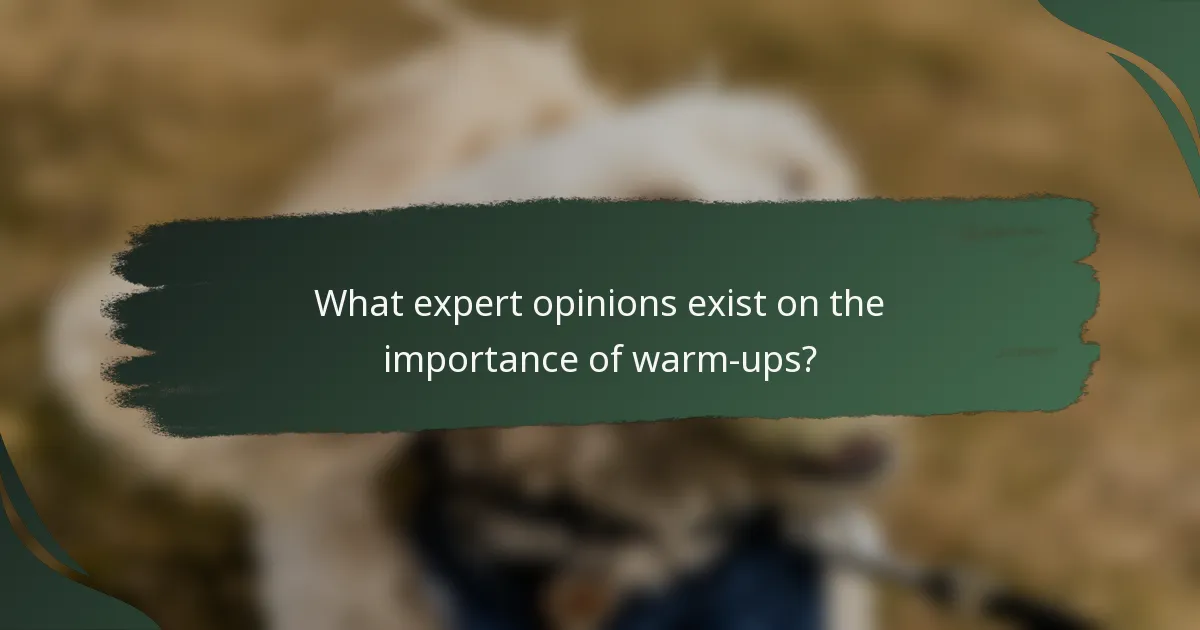 What expert opinions exist on the importance of warm-ups?